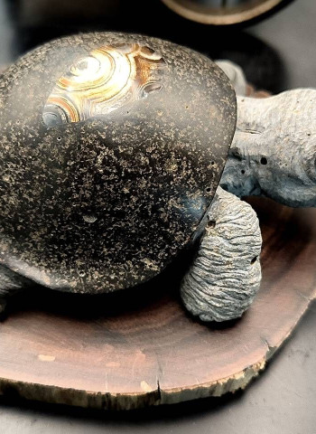 澎湖石友會會員聯展「石藝共賞」將於11月30日開幕