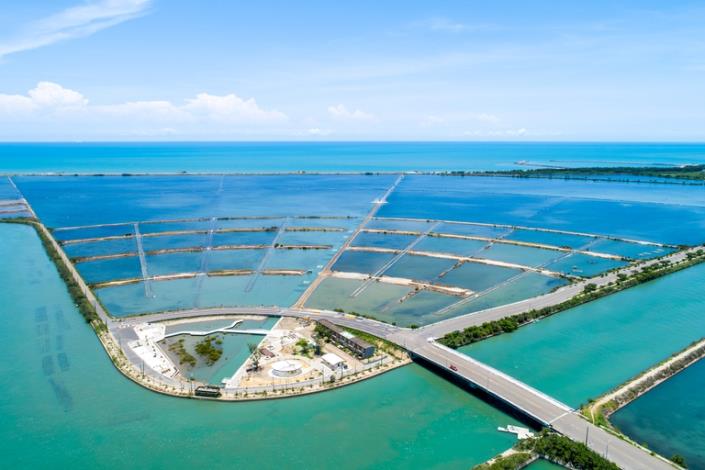 2025臺南端午攻略出爐　龍舟競賽、美食市集與賞花熱點一次看