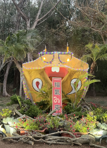 澎湖縣「2025蛇來運轉過好年」春節花海主題活動登場