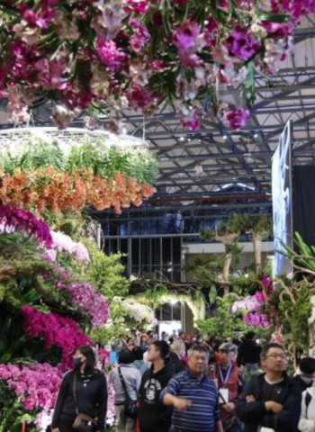AI花海邂逅春日浪漫　2026臺灣國際蘭展串聯燈會推出婦女節蘭花賞花沉浸式新體驗