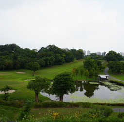 澎湖休憩園區升級取經高雄！林皆興考察自然公園、動物學校　評估民間參與經營